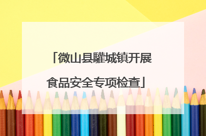 微山县驩城镇开展食品安全专项检查